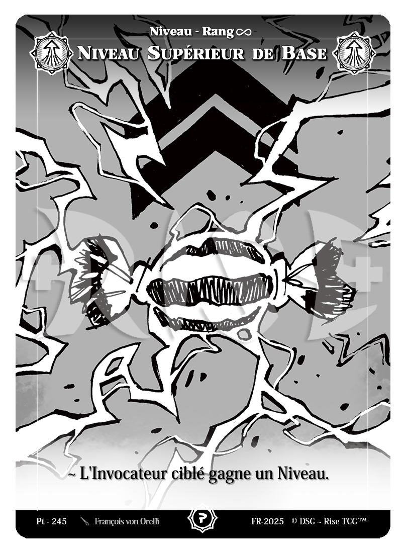 PT 245 Niveau Sup de Base