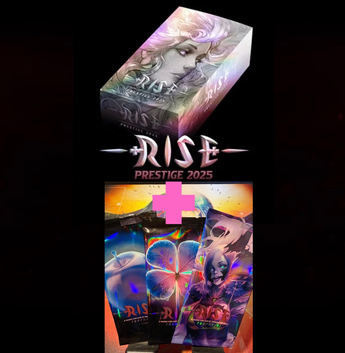 Display RISE Prestige 2025