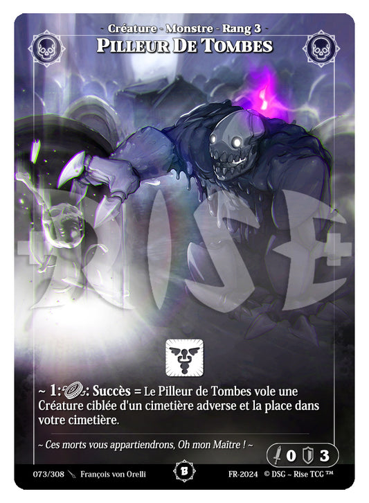 073/308 PILLEUR DE TOMBES