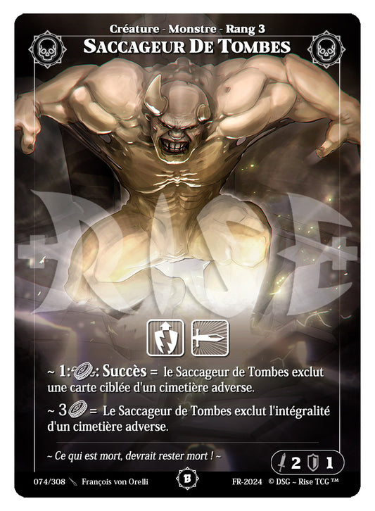 074/308 SACCAGEUR DE TOMBES