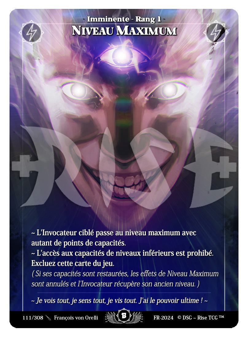 111/308 NIVEAU MAXIMUM