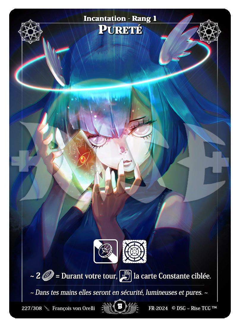 227/308 PURETE