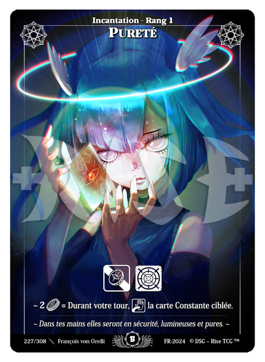 227/308 PURETE
