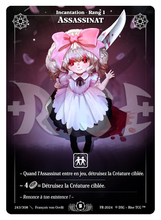 243/308 ASSASSINAT