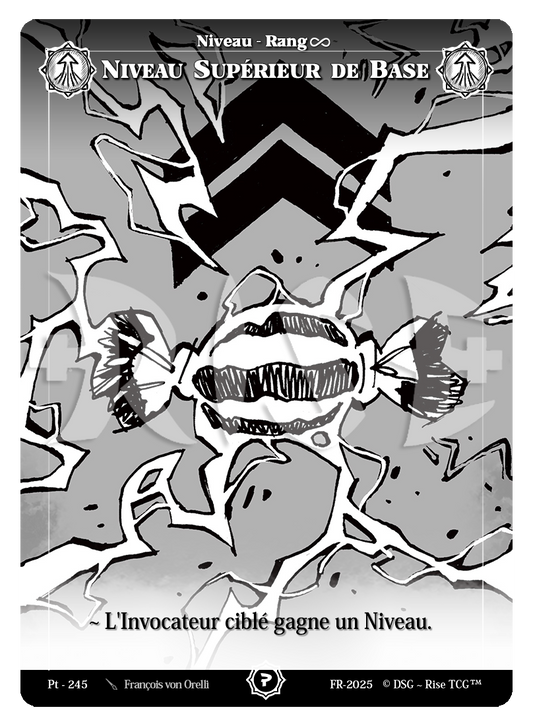 PT 245 Niveau Sup de Base