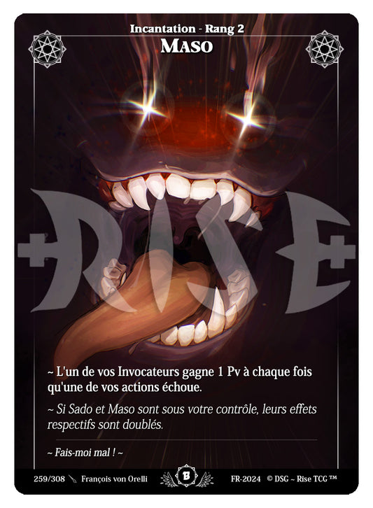 259/308 MASO