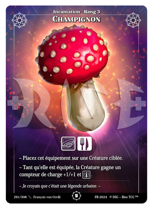291/308 CHAMPIGNON