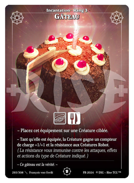 293/308 GATEAU