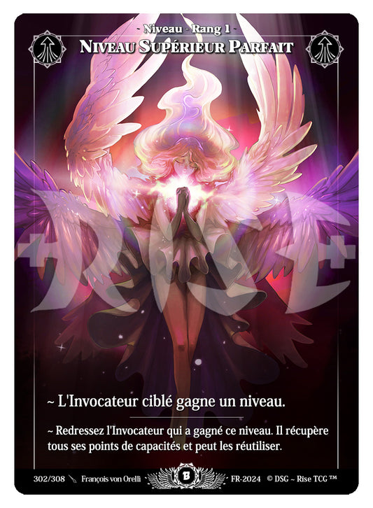 302/308 NIVEAU SUPERIEUR PARFAIT