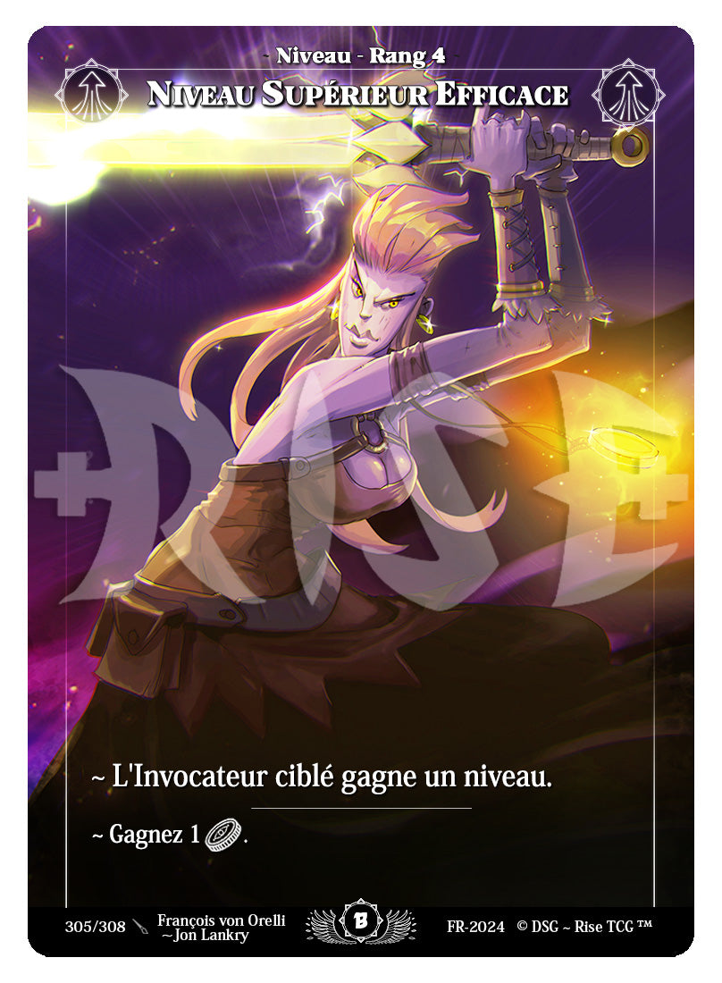 305/308 NIVEAU SUPERIEUR EFFICACE