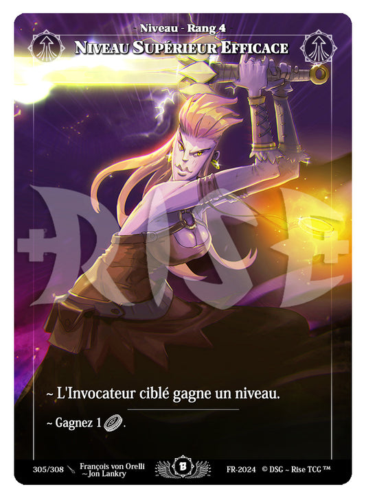305/308 NIVEAU SUPERIEUR EFFICACE