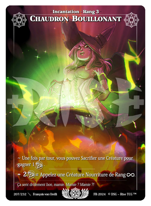 207/232 CHAUDRON BOUILLONANT