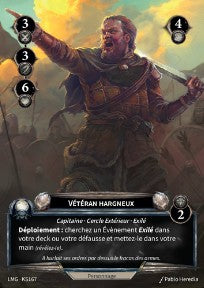 167/300 KS Vétéran Hargneux