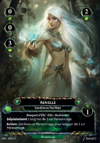 217/300 KR Aerielle