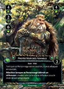 223/300 KC Protecteur des Tunnels