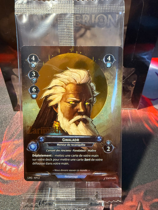 Gwaladr Promo Kickstarter (Copie)