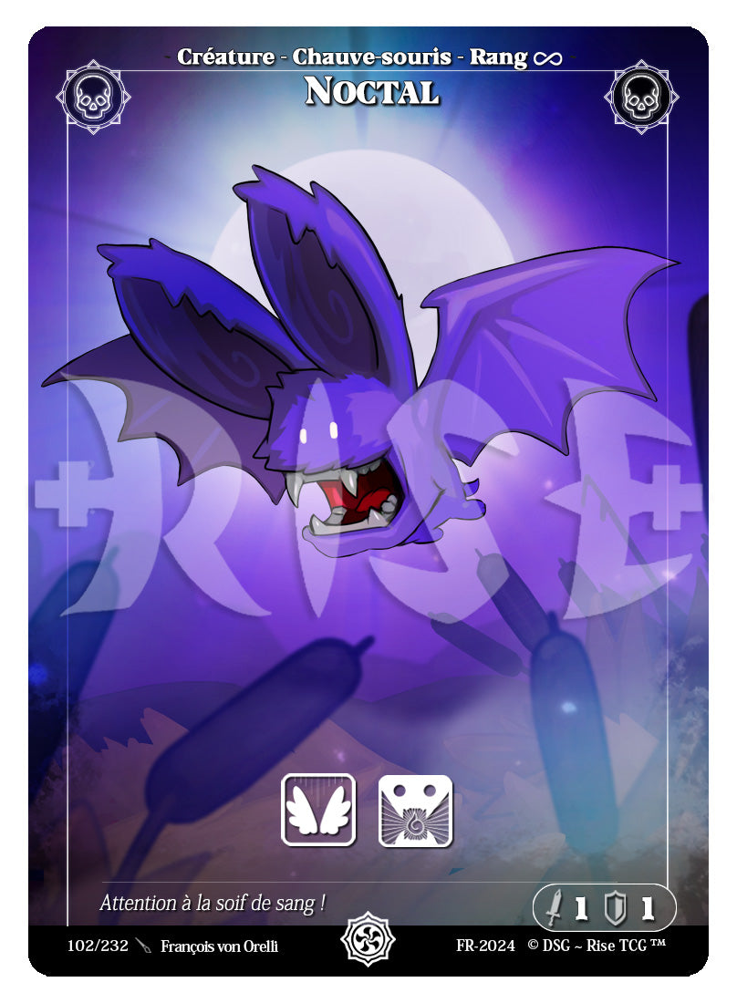 102/232 NOCTAL