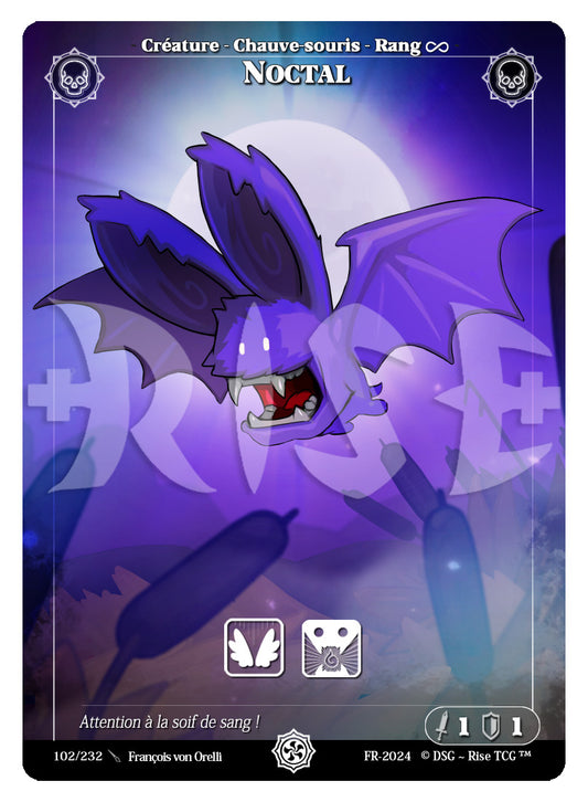 102/232 NOCTAL