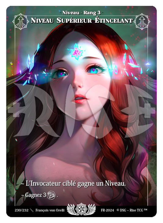 230/232 NIVEAU SUPERIEUR ETINCELANT